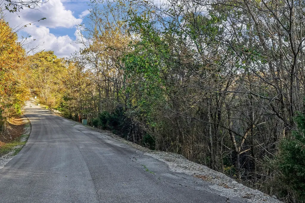 0 Blackberry Ridge Way Smithville TN 37166