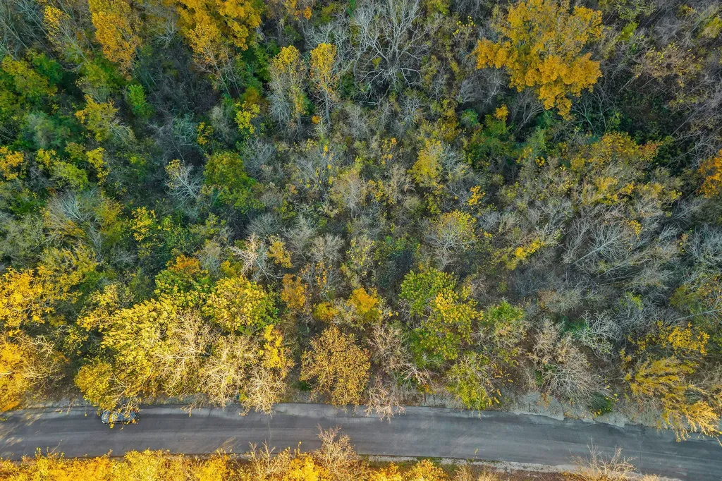0 Blackberry Ridge Way Smithville TN 37166