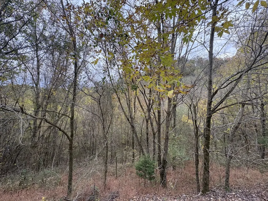 0 Blackberry Ridge Way Smithville TN 37166