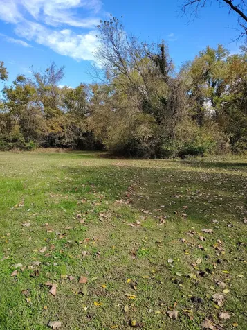 848 21st St, E Hopkinsville KY 42240