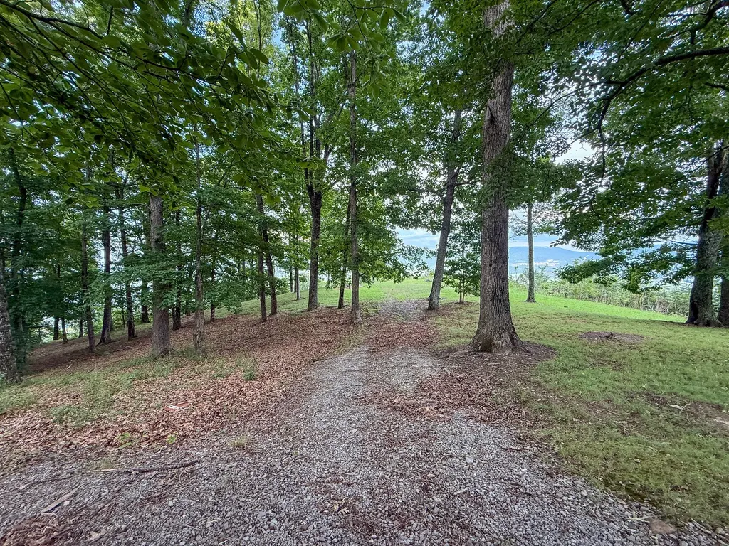 0 West Brow Road Dunlap TN 37327