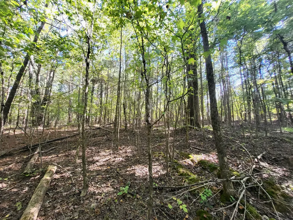 0 Valley Court Crossville TN 38572