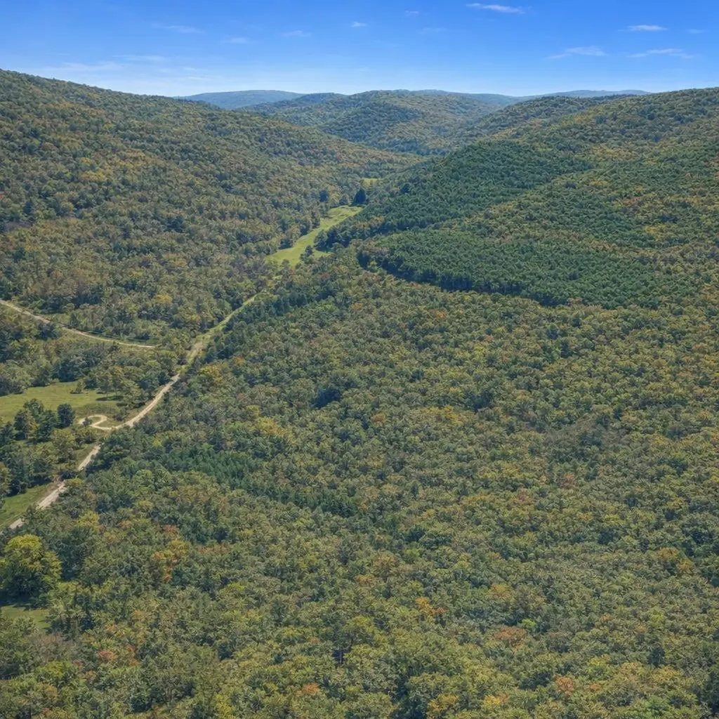 0 Brush Creek Road Lawrenceburg TN 38464
