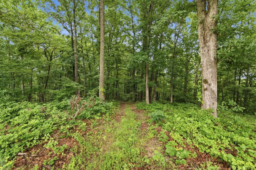 1658 Apache Trail Pegram TN 37143