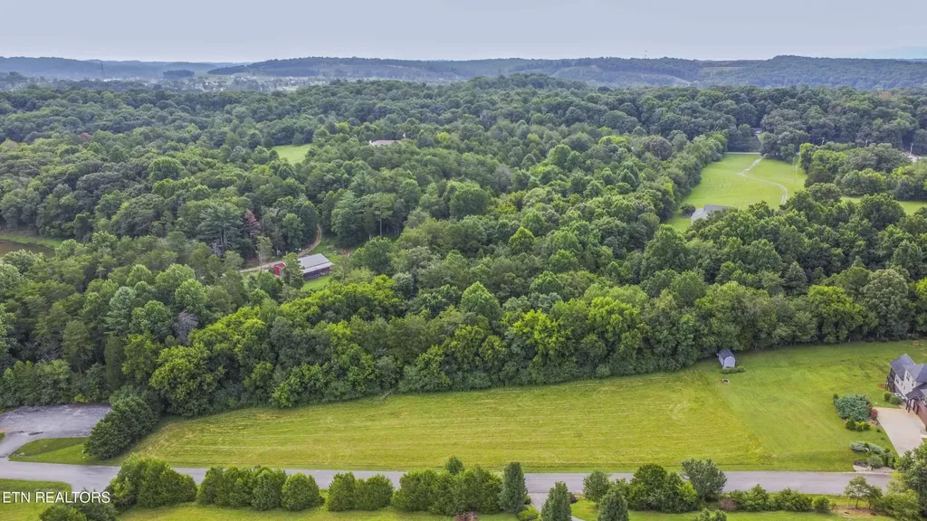 315 Marble Bluff Drive Kingston TN 37763