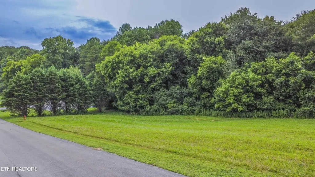 315 Marble Bluff Drive Kingston TN 37763