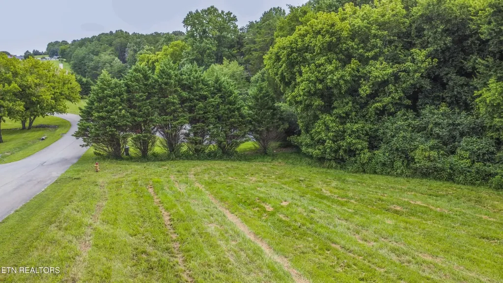 315 Marble Bluff Drive Kingston TN 37763