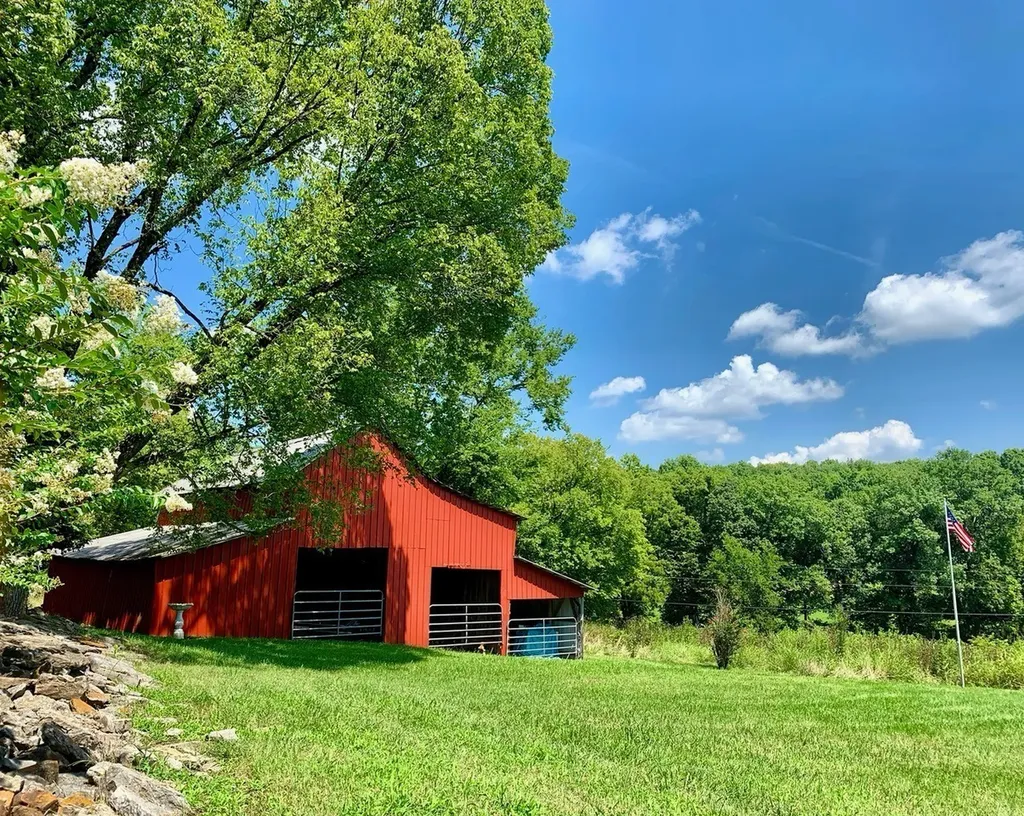 12112 Paw Paw Springs Road Arrington TN 37014