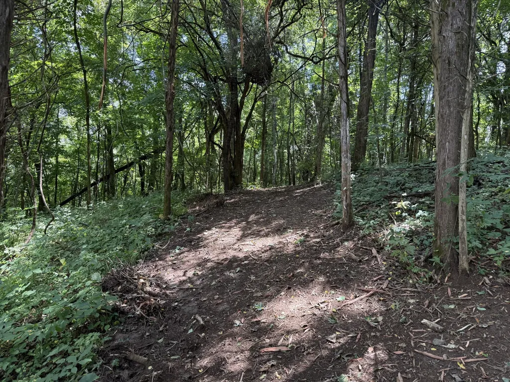 0 Rock Springs Road Columbia TN 38401