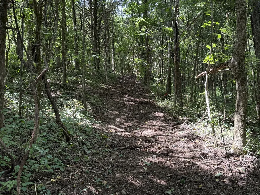 0 Rock Springs Road Columbia TN 38401