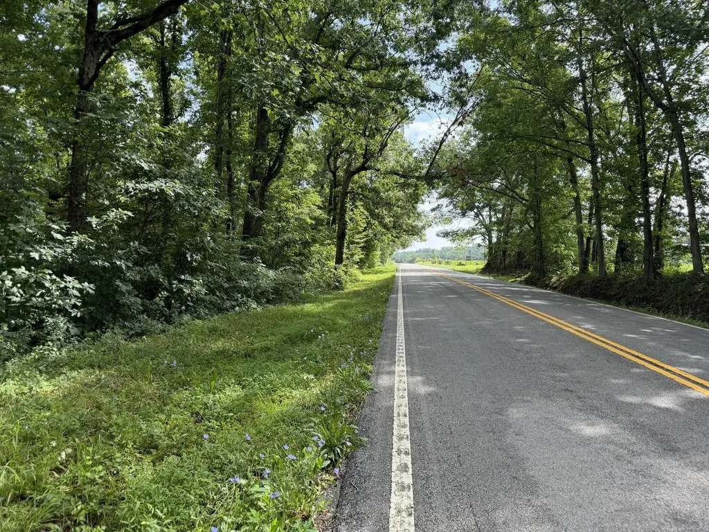 2571 Bellview Road Pikeville TN 37367