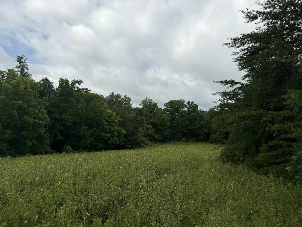 2571 Bellview Road Pikeville TN 37367