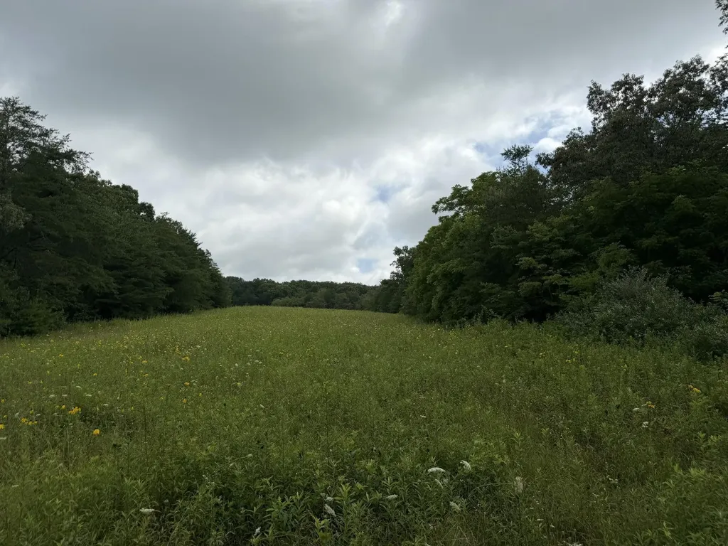 2571 Bellview Road Pikeville TN 37367