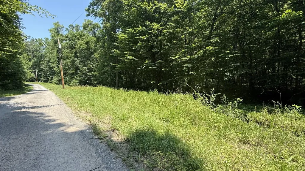 1314 Clifton Cemetery Road Spring City TN 37381