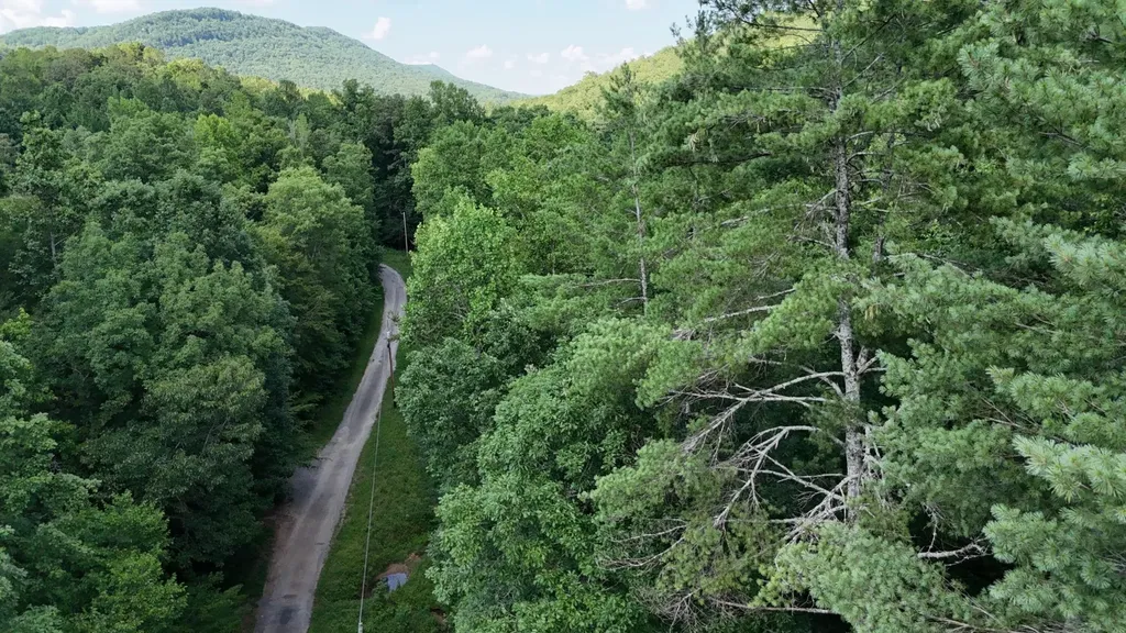 1314 Clifton Cemetery Road Spring City TN 37381