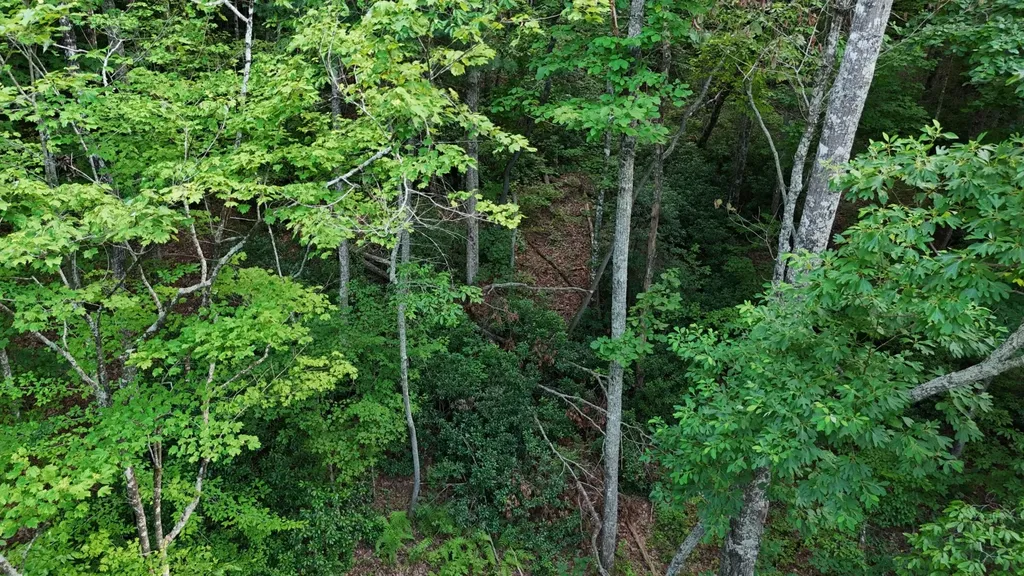 1314 Clifton Cemetery Road Spring City TN 37381