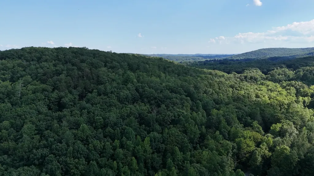 1314 Clifton Cemetery Road Spring City TN 37381