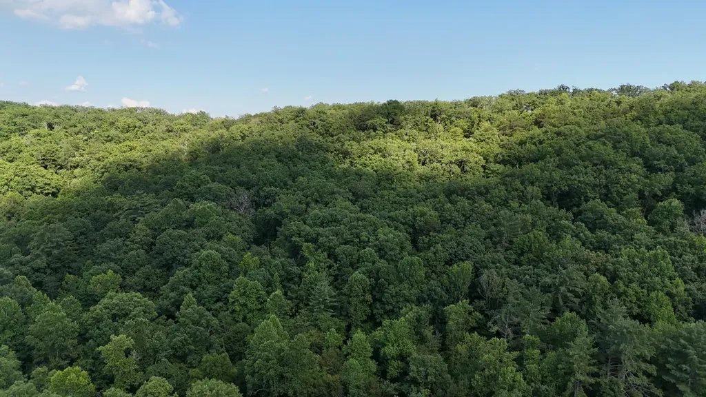 1314 Clifton Cemetery Road Spring City TN 37381