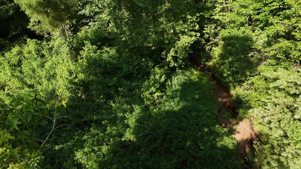1314 Clifton Cemetery Road Spring City TN 37381