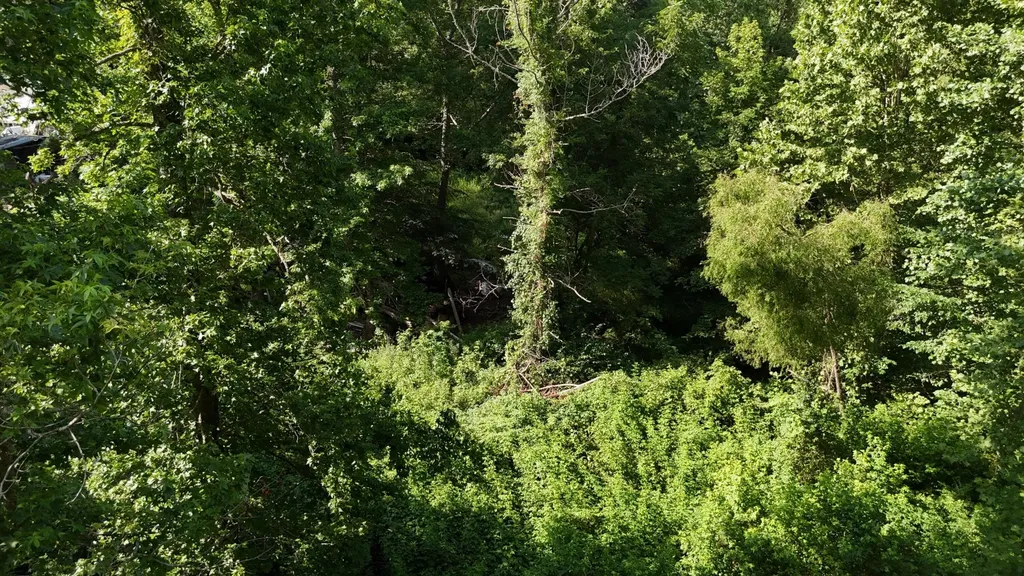 1314 Clifton Cemetery Road Spring City TN 37381