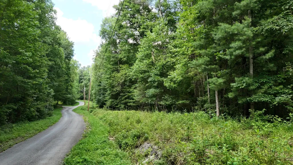 1314 Clifton Cemetery Road Spring City TN 37381