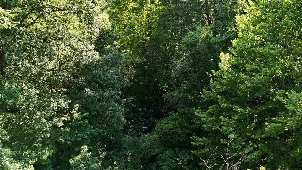 1314 Clifton Cemetery Road Spring City TN 37381
