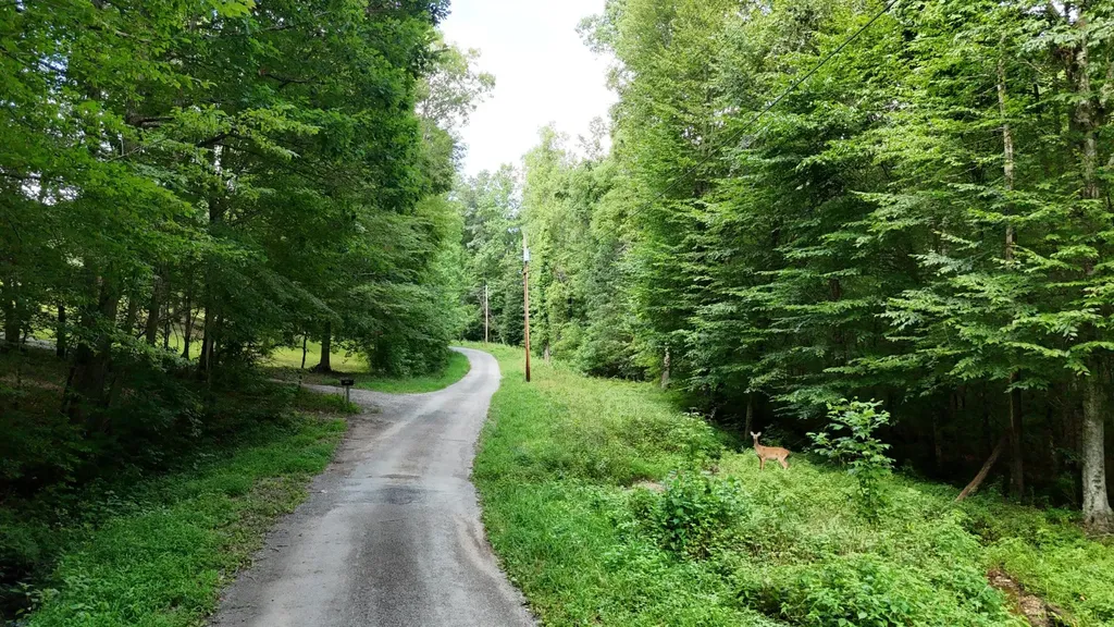1314 Clifton Cemetery Road Spring City TN 37381