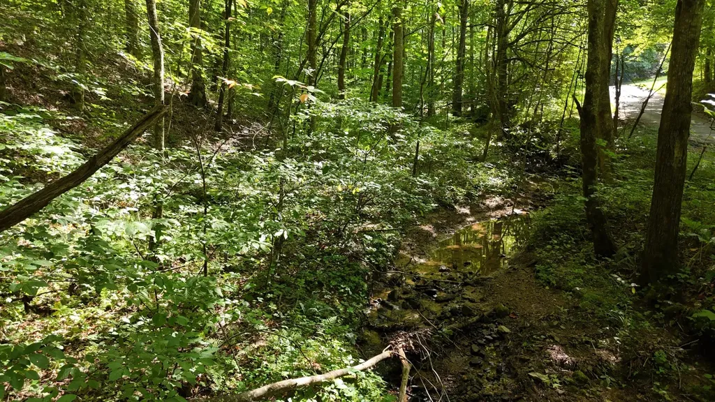 1314 Clifton Cemetery Road Spring City TN 37381