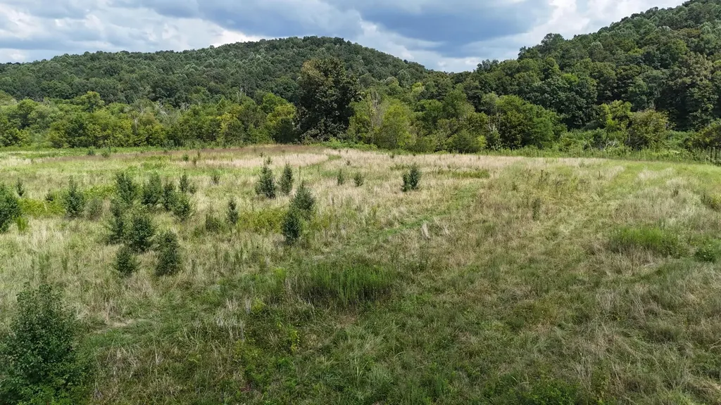 0 County Road 60 Riceville TN 37370