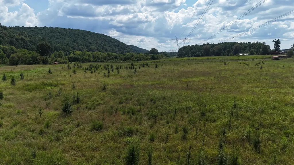 0 County Road 60 Riceville TN 37370