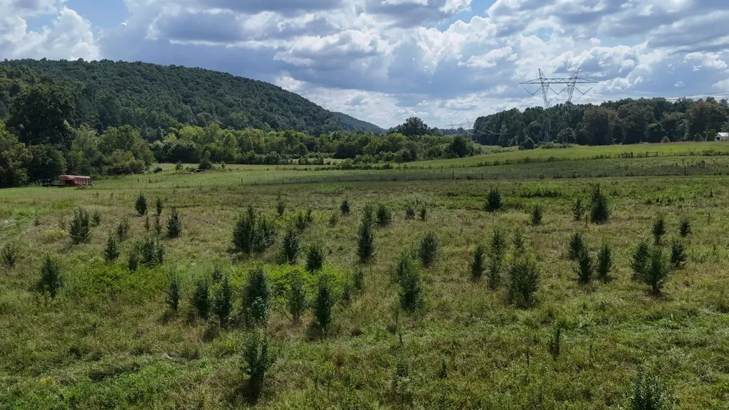0 County Road 60 Riceville TN 37370