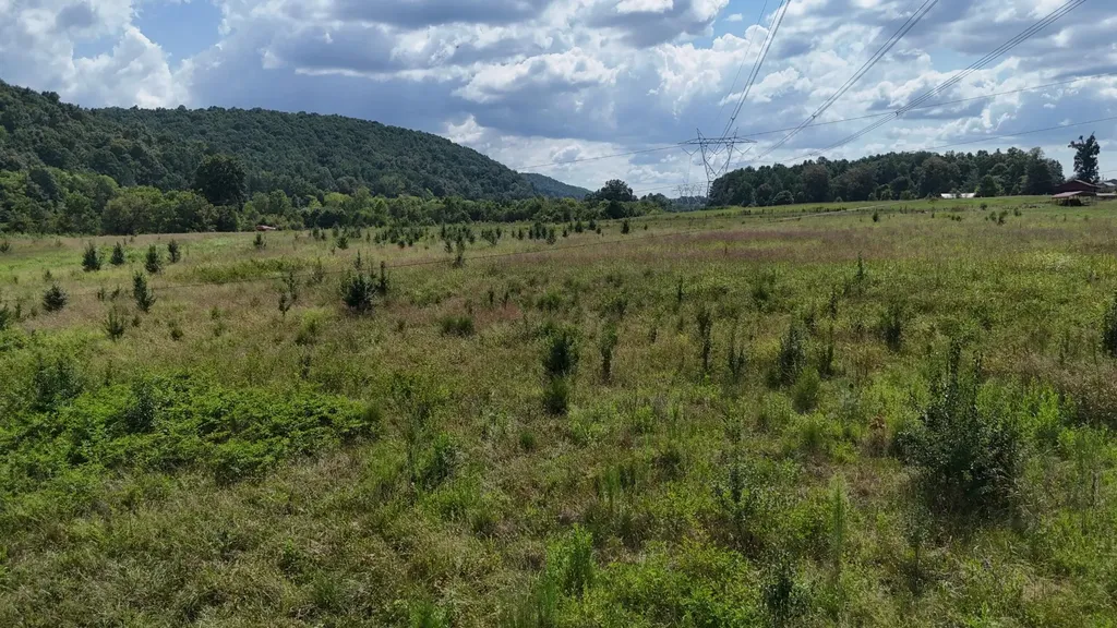 0 County Road 60 Riceville TN 37370