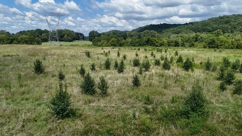 0 County Road 60 Riceville TN 37370