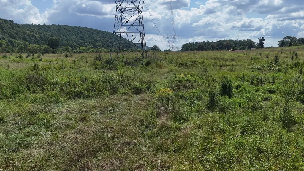 0 County Road 60 Riceville TN 37370