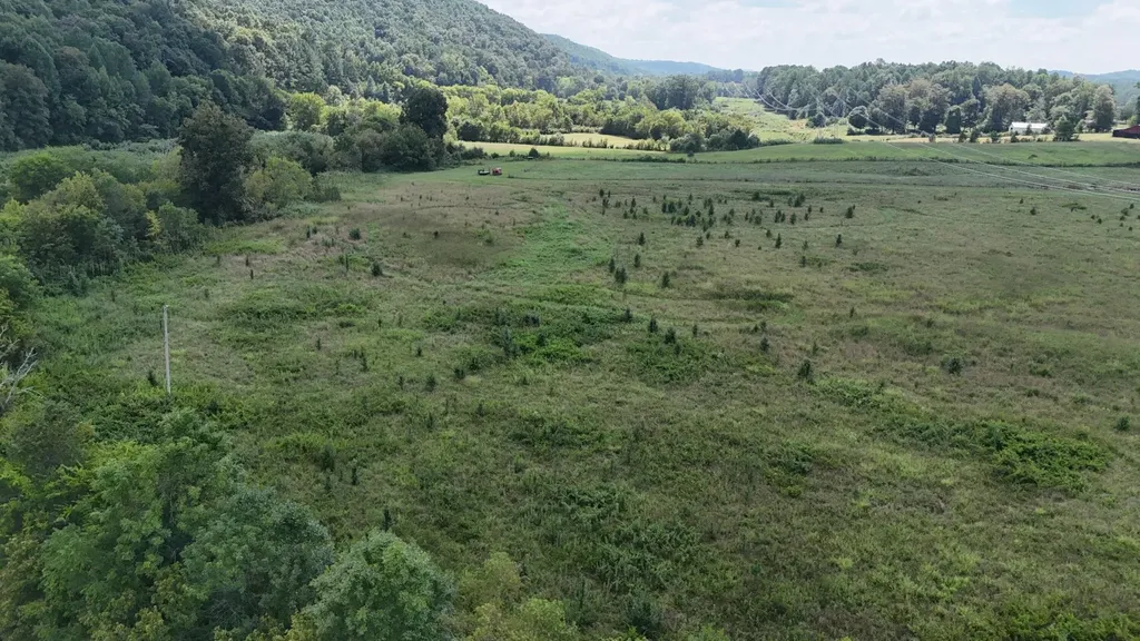 0 County Road 60 Riceville TN 37370