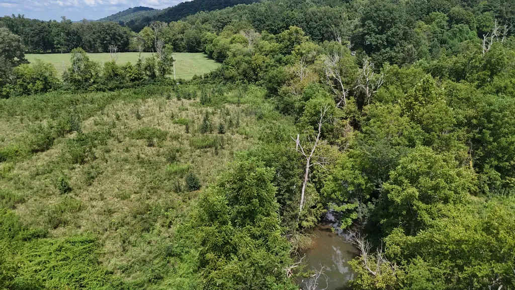 0 County Road 60 Riceville TN 37370