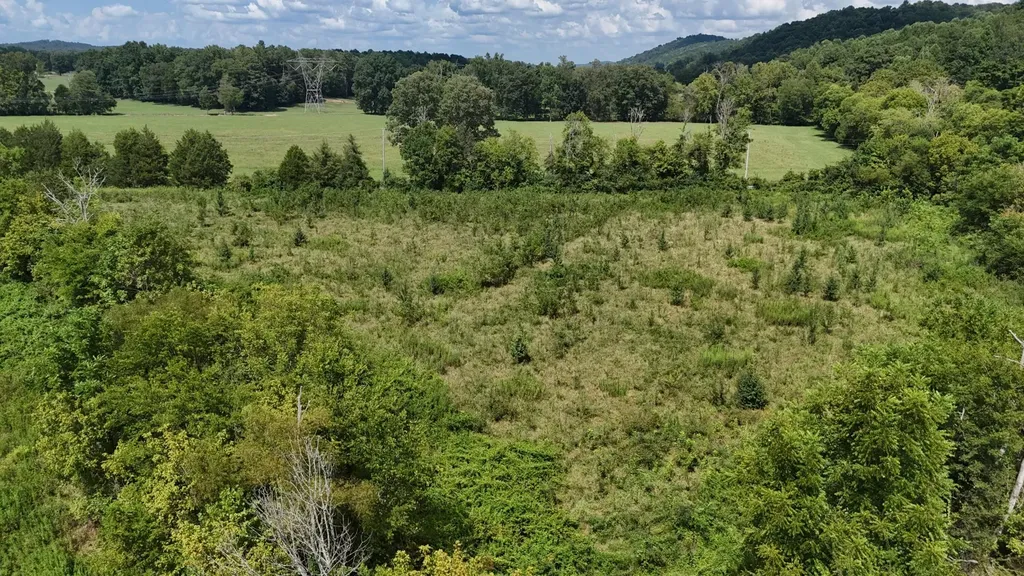 0 County Road 60 Riceville TN 37370