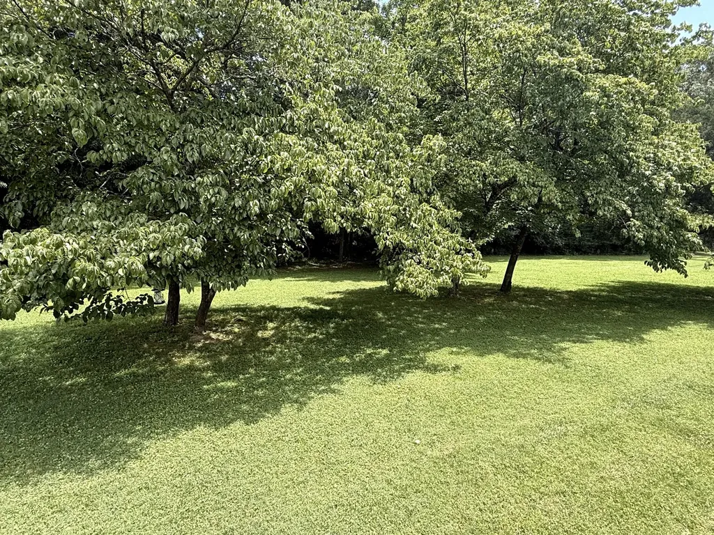 215 Woodson Drive Tullahoma TN 37388