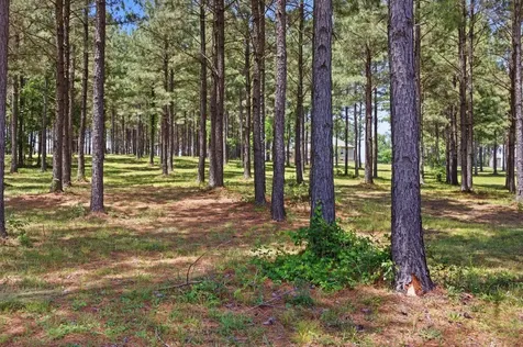 0 Cumberland Circle Jasper TN 37347