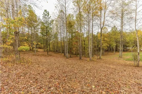 0 Lookout View Drive Jasper TN 37347