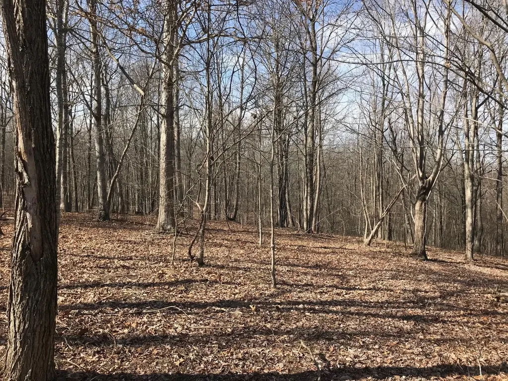504 Wilderness Way Dunlap TN 37327