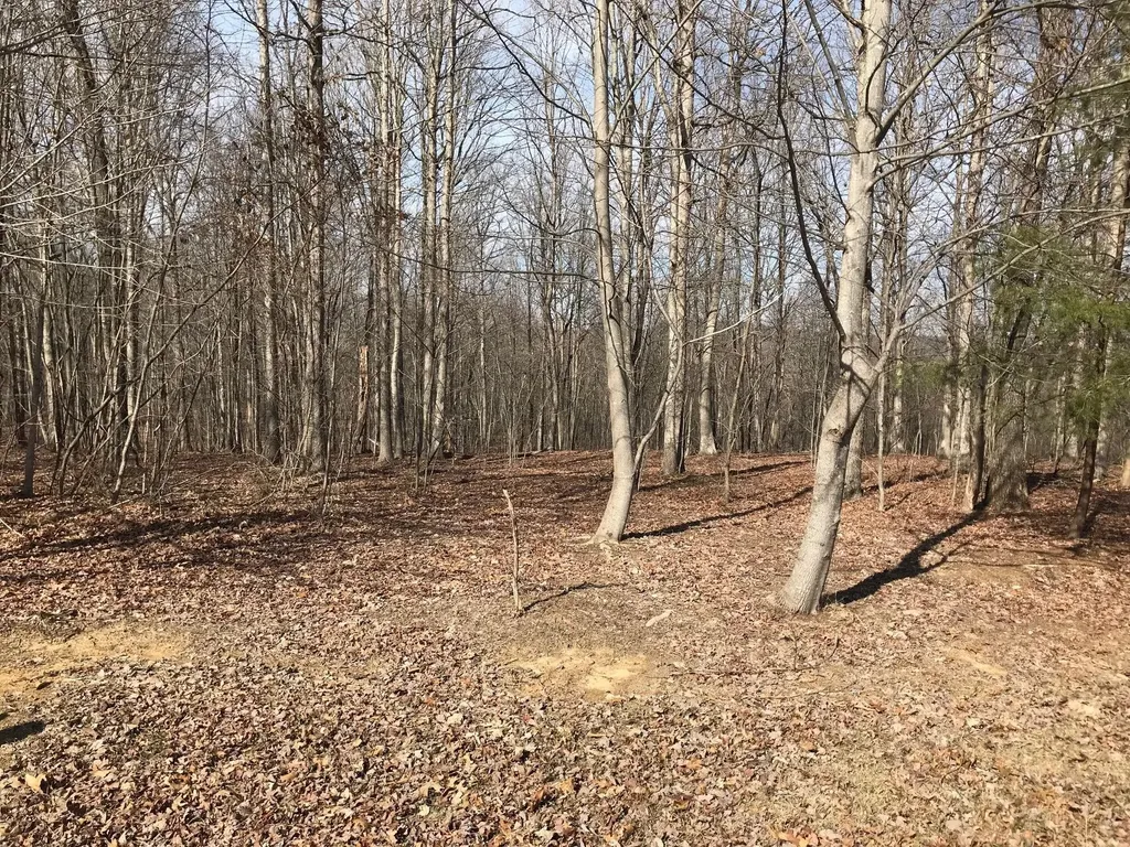 504 Wilderness Way Dunlap TN 37327