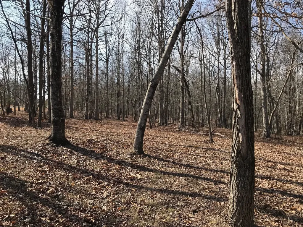 504 Wilderness Way Dunlap TN 37327