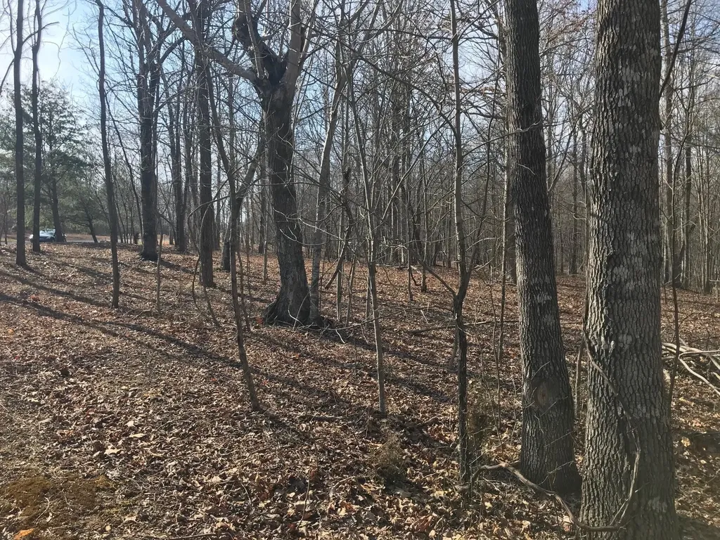 504 Wilderness Way Dunlap TN 37327