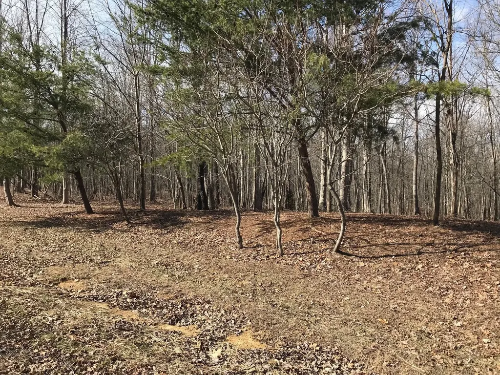504 Wilderness Way Dunlap TN 37327