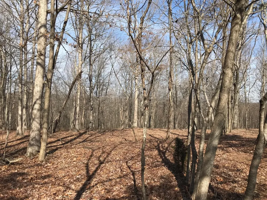 504 Wilderness Way Dunlap TN 37327