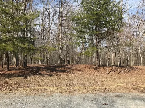 504 Wilderness Way Dunlap TN 37327