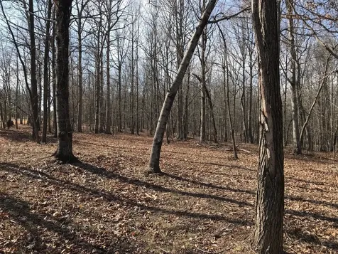504 Wilderness Way Dunlap TN 37327