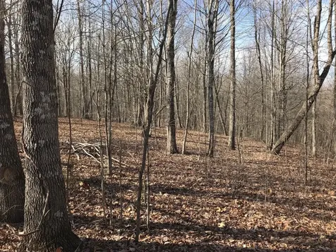 504 Wilderness Way Dunlap TN 37327