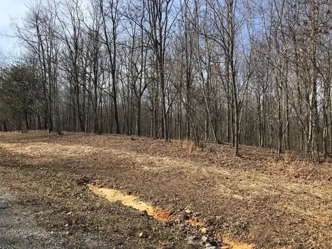 504 Wilderness Way Dunlap TN 37327